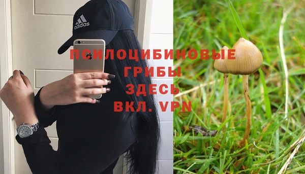 ALPHA PVP Алексеевка