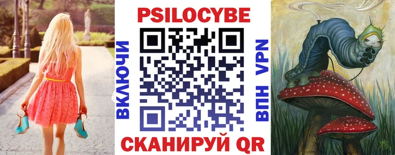 Псилоцибиновые грибы Psilocybine cubensis Макушино